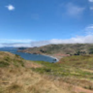 Meet your Posher, Betty